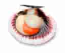 https://storage.googleapis.com/mengkee-355206.appspot.com/a8487d2f-8578-4485-86c4-bb5d6385e30f.jpg